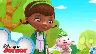 Doc Saves St Patricks Day 🍀  Doc McStuffins  Disney Junior [upl. by Ahsatan]