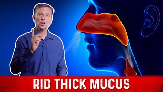 Best Medicine To Get Rid Of Thick Mucus – DrBerg 30 seconds [upl. by Cara802]