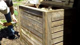 Red Wigglers Thrive Over Winter In Outdoor Compost Bin [upl. by Iren]