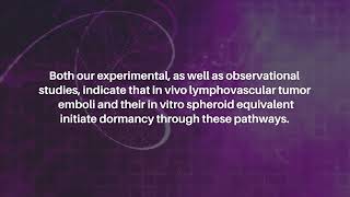 Tumor Dormancy Initiated by Lymphovascular Embolus  Oncotarget [upl. by Nylime]