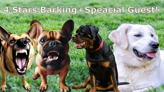 Dog Barking Noises 1 Hour  Dog Barking Sounds 1 Hour  Dog Barking Noises 1 Hour Loud  60 minutes [upl. by Nawak]