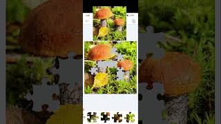 Mushrooms 64 Piece Jigsaw Puzzle HDmushroomgamespuzzle [upl. by Sekyere]