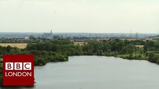 Mucking Marshes Landfill site to wildlife haven  BBC London [upl. by Rolf]