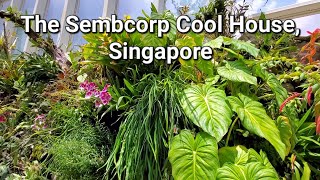 The Sembcorp Cool House the temperature controlled greenhouse inside of Singapore Botanical Garden [upl. by Axe]