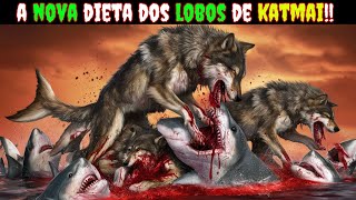 DESCOBERTA Chocante a NOVA Dieta dos LOBOS de Katmai [upl. by Akinimod]