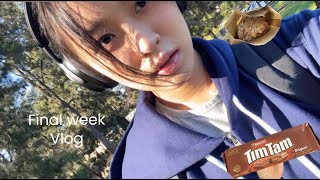 🇦🇺호주 교환학생 종강 Vlog 종강종강 돌을 던지자 ANU Exchange End of Semester Vlog [upl. by Epifano729]