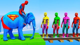 Long Slide Game With Elephant Gorilla Buffalo Hippopotamus Tiger  3d Animal Game  Funny 3d Animals [upl. by Waldos]