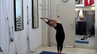 Warm Up and Stretches For Aerial Acrobatics  Beginners  Aerial Tutorial [upl. by Earas]