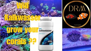 Ultimate Guide to Kalkwasser Mixing Dosing amp Unlocking the Benefits for Your Reef Tank [upl. by Gustavo]