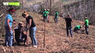 WeWOOD  Mountain Communities Wildfire ReLeaf Project Long Video [upl. by Anneirda460]