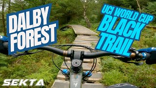 DALBY FOREST MTB💥UCI World Cup Black Trail [upl. by Essyla440]