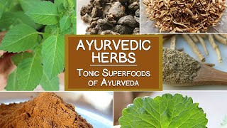 Ayurvedic Herbs The Tonic Superfoods of Ayurveda [upl. by Claus]