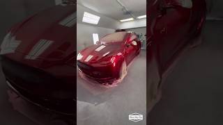 BRANDYWINE Red Kandy TESLA 🤩 Full video coming soon 🙌🏼 [upl. by Osrit]