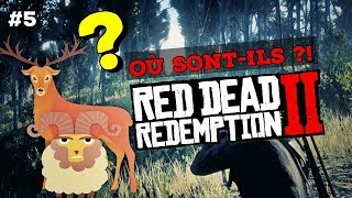 5 WAPITI MOUFLON  OÙ LES CHASSER  RED DEAD REDEMPTION 2 [upl. by Maccarone]