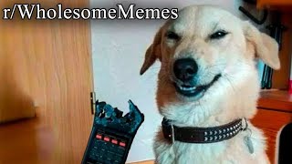 OVER 2 HOURS OF WHOLESOME MEMES [upl. by Wolbrom]