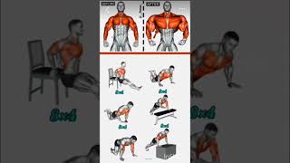 Shoulder exercise shoulder workout exercise shoulder gym video shorts gym video exercise 💪💪 [upl. by Nyledaj316]