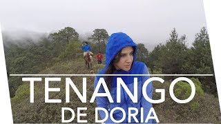 5 Cosas que tienes que hacer en el Bosque  Tenango de Doria  travel [upl. by Ackerman]