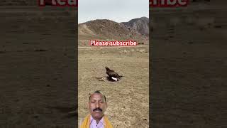 angle attack on khargoshviral short videoplease like and subscribe jarur Karen [upl. by Ahsi]