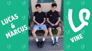 Lucas and Marcus NEW Vines 2016  Vine Compilation [upl. by Aihcropal]