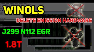 Winols 18t How to Delete SAi N249 J299 N112 EGR [upl. by Hyacintha]