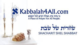 Shacharit Torah amp Musaf For Shabbat Chayei Sarah [upl. by Harwell441]