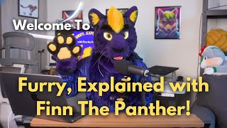 Welcome to Furry Explained with Finn the Panther [upl. by Veronika206]