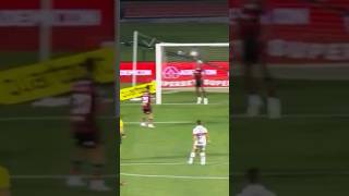 GOL CALLERI NO FREGUÊS FLAMENGO shorts spfc flamengo [upl. by Yerfdog]