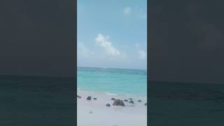 Lakshadweep natural beauty travel viralvideo [upl. by Landahl]