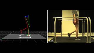 Motion capture and threedimensional model of a volunteer walking [upl. by Allenaj552]