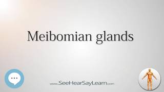 Meibomian glands Anatomy Named After People 🔊 [upl. by Amerak]