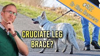 Dog Cruciate Ligament Treatment  Should You Buy a Knee Brace  Dog Health Vet Advice [upl. by Yrahca]