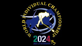 Mounted Games World Individual Champion 2024 Recap [upl. by Dahraf423]