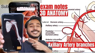 axillary artery branches and relations  axillary artery 3d anatomy [upl. by Broderick]