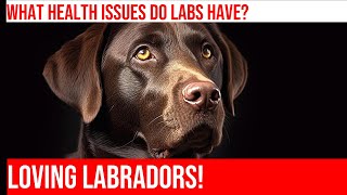 Labrador Retriever Ear Health What You Need to Know [upl. by Trisa]