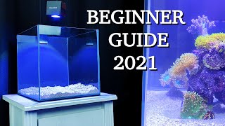 No money no problem  REEF TANK BASICS  quothow to start a saltwater aquariumquot BEGINNER GUIDE 2021 [upl. by Tihw]