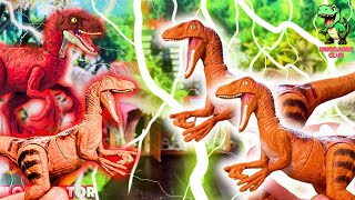 BEST  Dinosaur Collection EVER  T Rex Scorpios Rex Ampelosaurus Rajasaurus  Jurassic World [upl. by Lucio520]