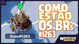 Estado BR Como está o 1263  WhiteOut Survival  Gameplay [upl. by Dias]