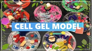 HOW TO MAKE A CELL GEL MODEL  TEACHER VLOGGER  MISS PIE [upl. by Terrab]