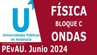 FÍSICA Junio 2024 Bloque C Vibraciones y Ondas Óptica  PEvAU Andalucía Selectividad EBAU [upl. by Anehs]