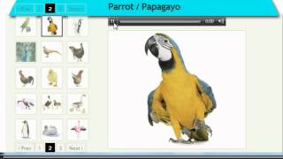 Vocabulario de Ingles los Pajaros httpwwwfacileanglaiscom [upl. by Ahsimat316]