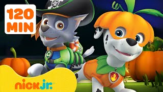 PAW Patrols Best Halloween Costumes w Rocky amp Marshall 🎃 2 Hours  Nick Jr [upl. by Tristan]