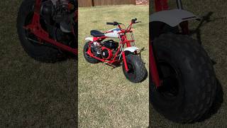 RED HOT COLEMAN MINIBIKE REBUILD shorts honda [upl. by Ahsita]