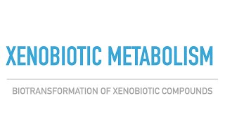 Xenobiotic MetabolismCYP450 Enzyme MechanismDetoxification in the Liver [upl. by Cooke]