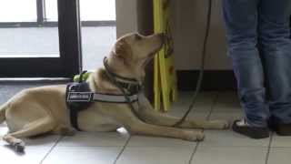 quotPBS NewsHour Weekendquot Feature  Soldier On Service Dogs [upl. by Faunie]