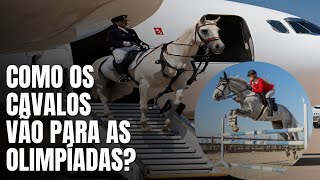 Como os cavalos do Hipismo chega nas olimpíadas [upl. by Theresa216]