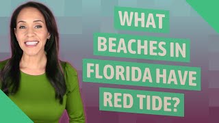 What beaches in Florida have red tide [upl. by Delamare758]