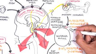 Pharmacology  Antiemetics [upl. by Eittol]