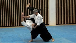 Aikido Bruno GONZALEZ  working with Jo movements [upl. by Elamaj648]