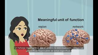 Investigación sobre el cerebro dividido Psicología básica localización de funciones en el cerebro [upl. by Airtina852]