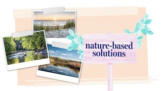 Solutions naturelles  la nature meilleure alliée de leau face au réchauffement climatique [upl. by Layne]